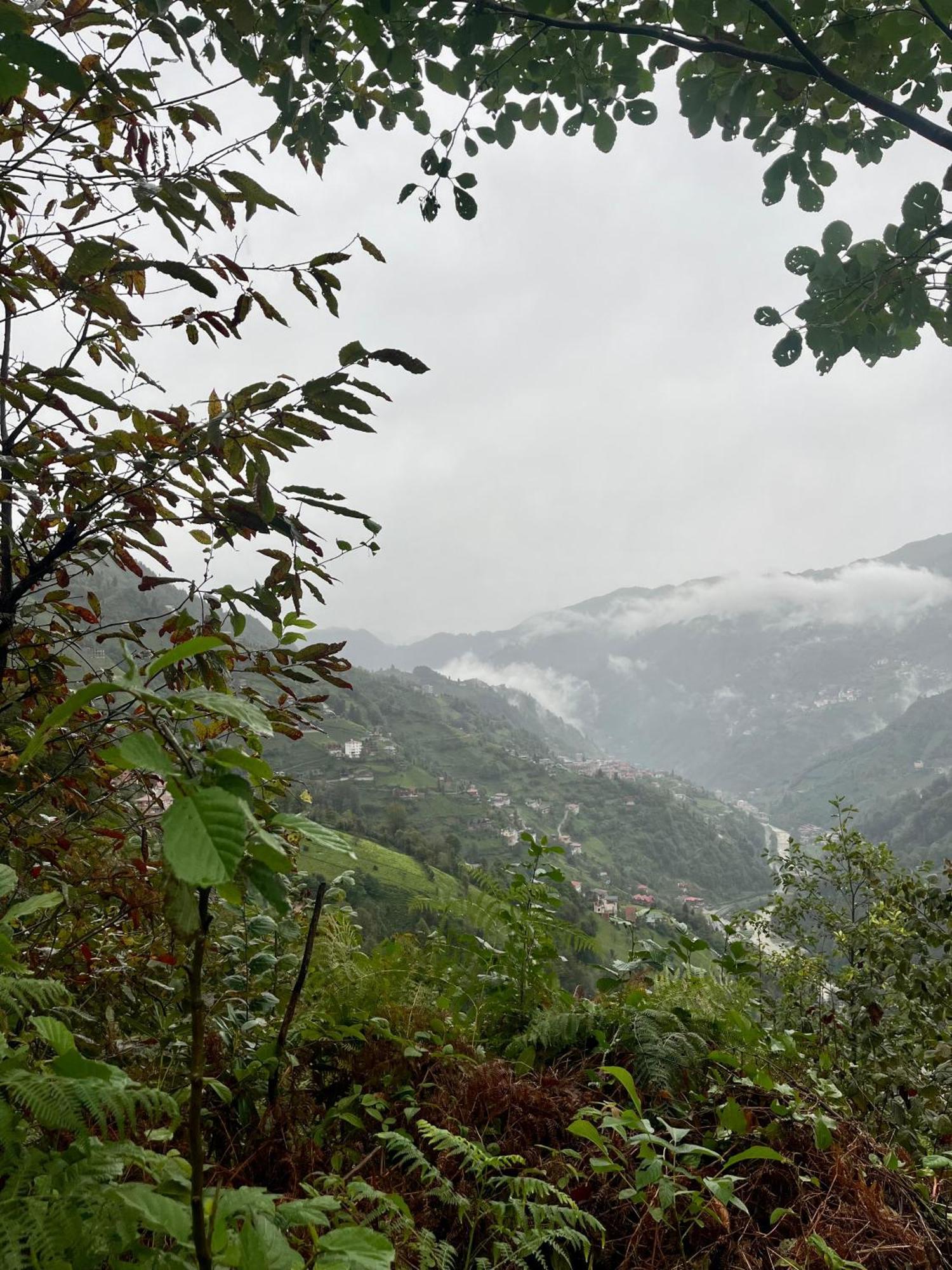 Relax Dag Evleri Rezistans Ayder Dikkaya (Rize) Exterior foto
