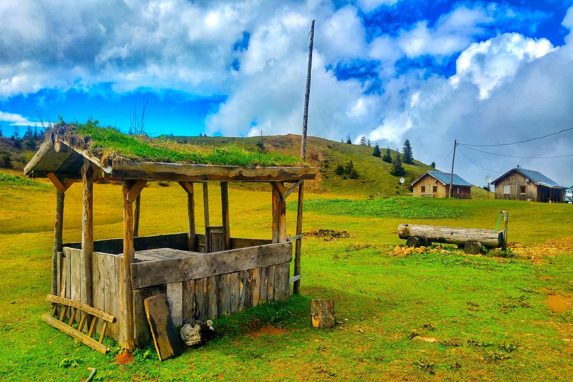 Relax Dag Evleri Rezistans Ayder Dikkaya (Rize) Exterior foto