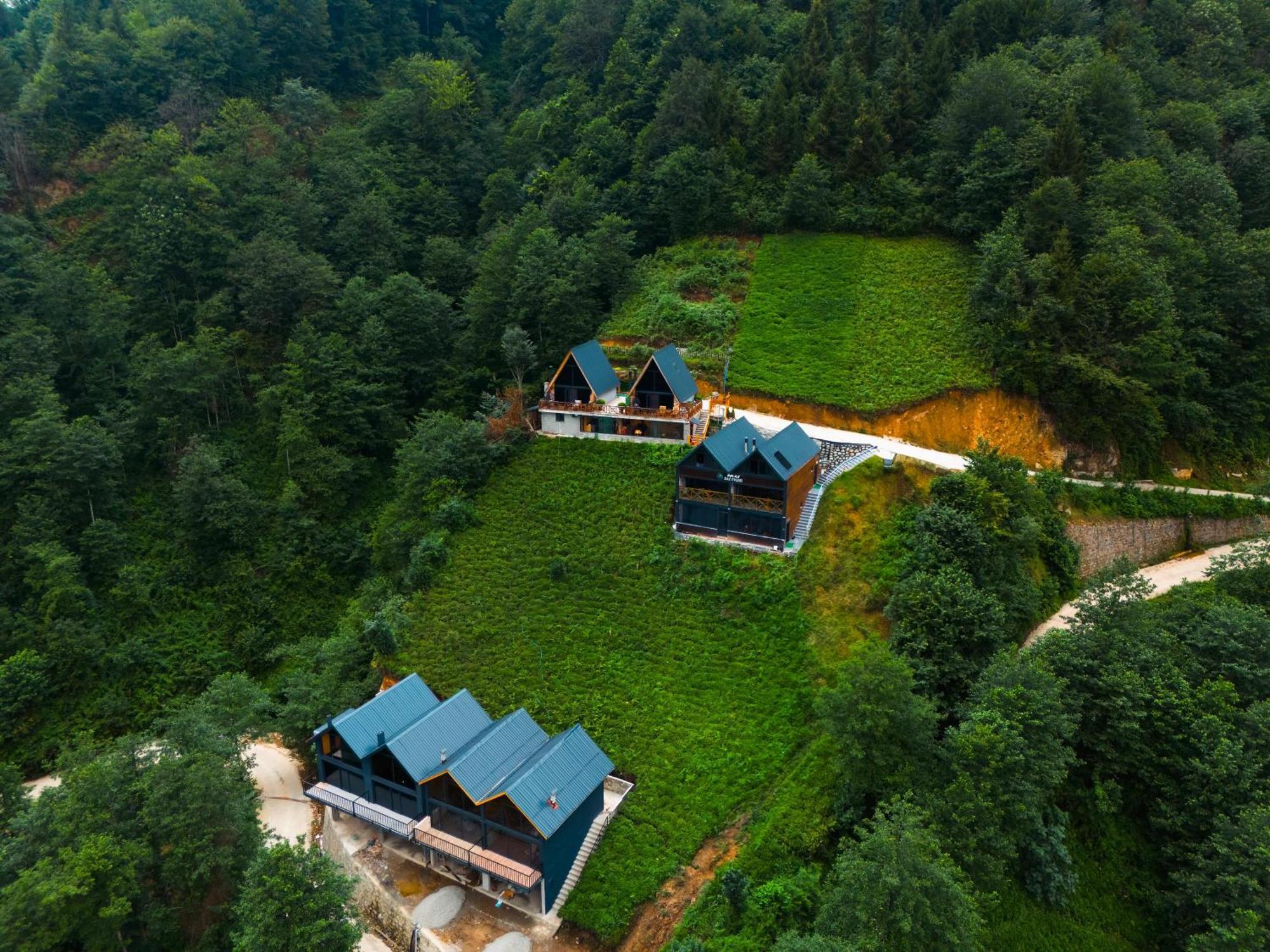 Relax Dag Evleri Rezistans Ayder Dikkaya (Rize) Exterior foto